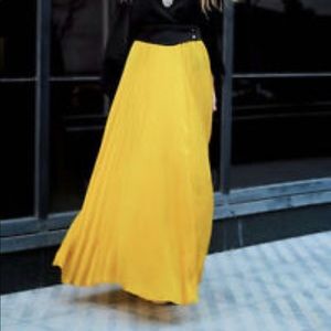 Zara maxi skirt